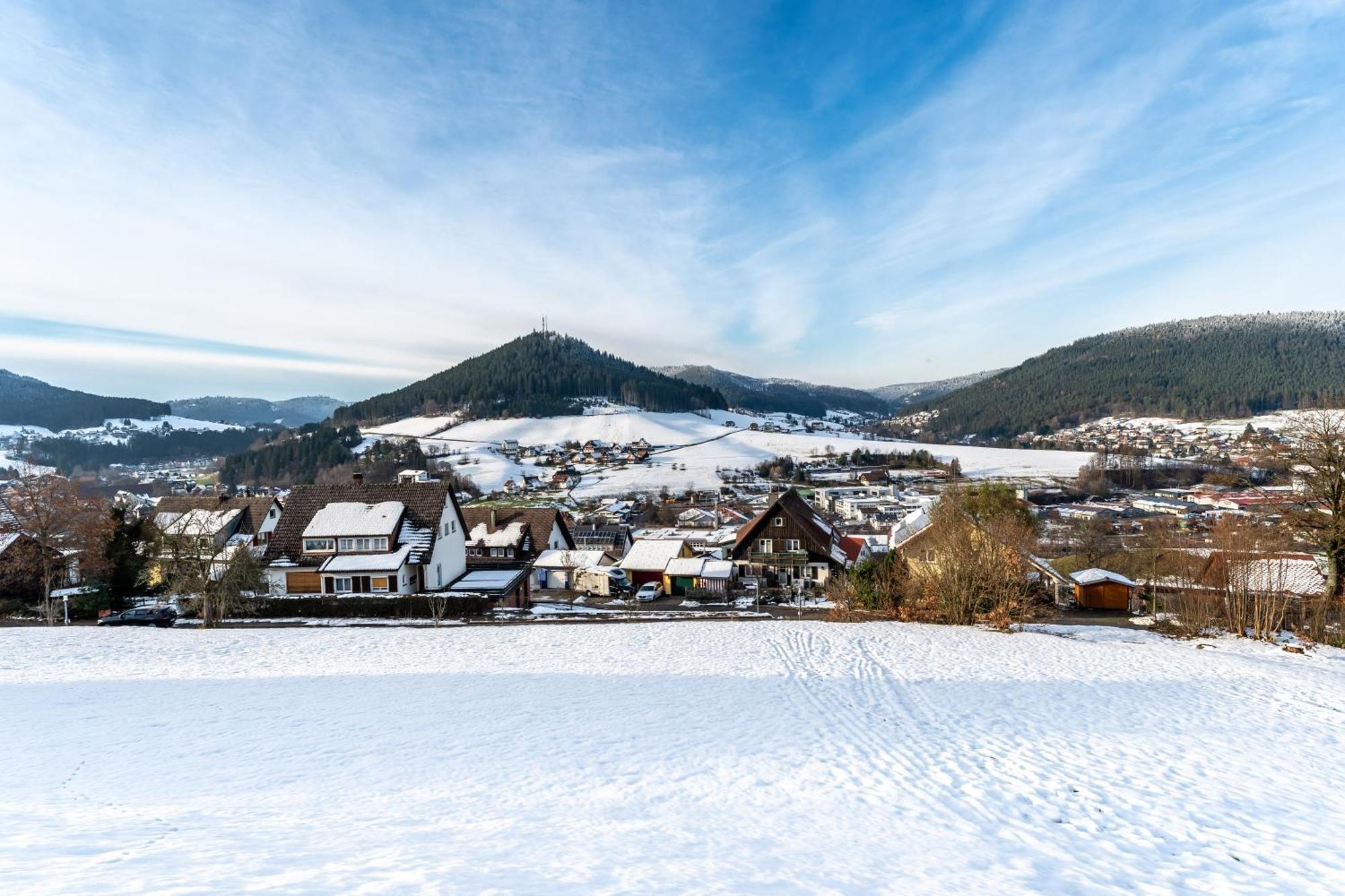 Apartament Juri5 In Baiersbronn Mit Pool Zewnętrze zdjęcie
