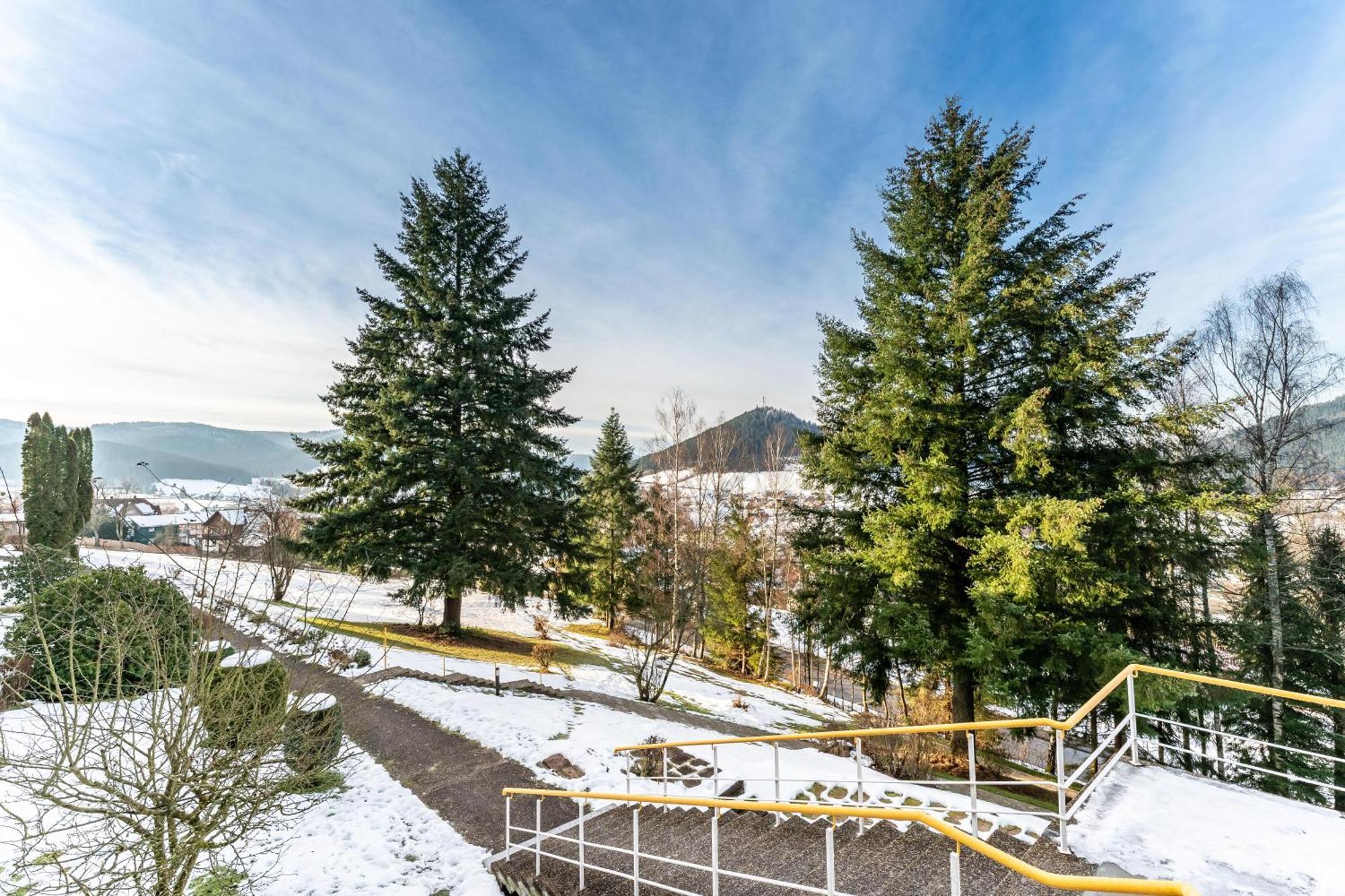 Apartament Juri5 In Baiersbronn Mit Pool Zewnętrze zdjęcie